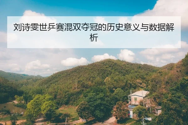 刘诗雯世乒赛混双夺冠的历史意义与数据解析